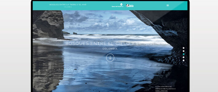 Web libro «Bosques entre la tierra y el mar»