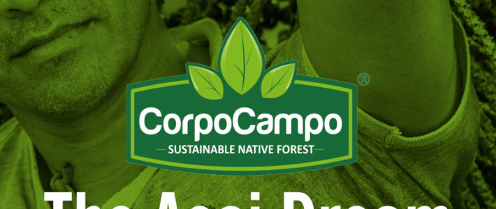 Presentación Corpocampo